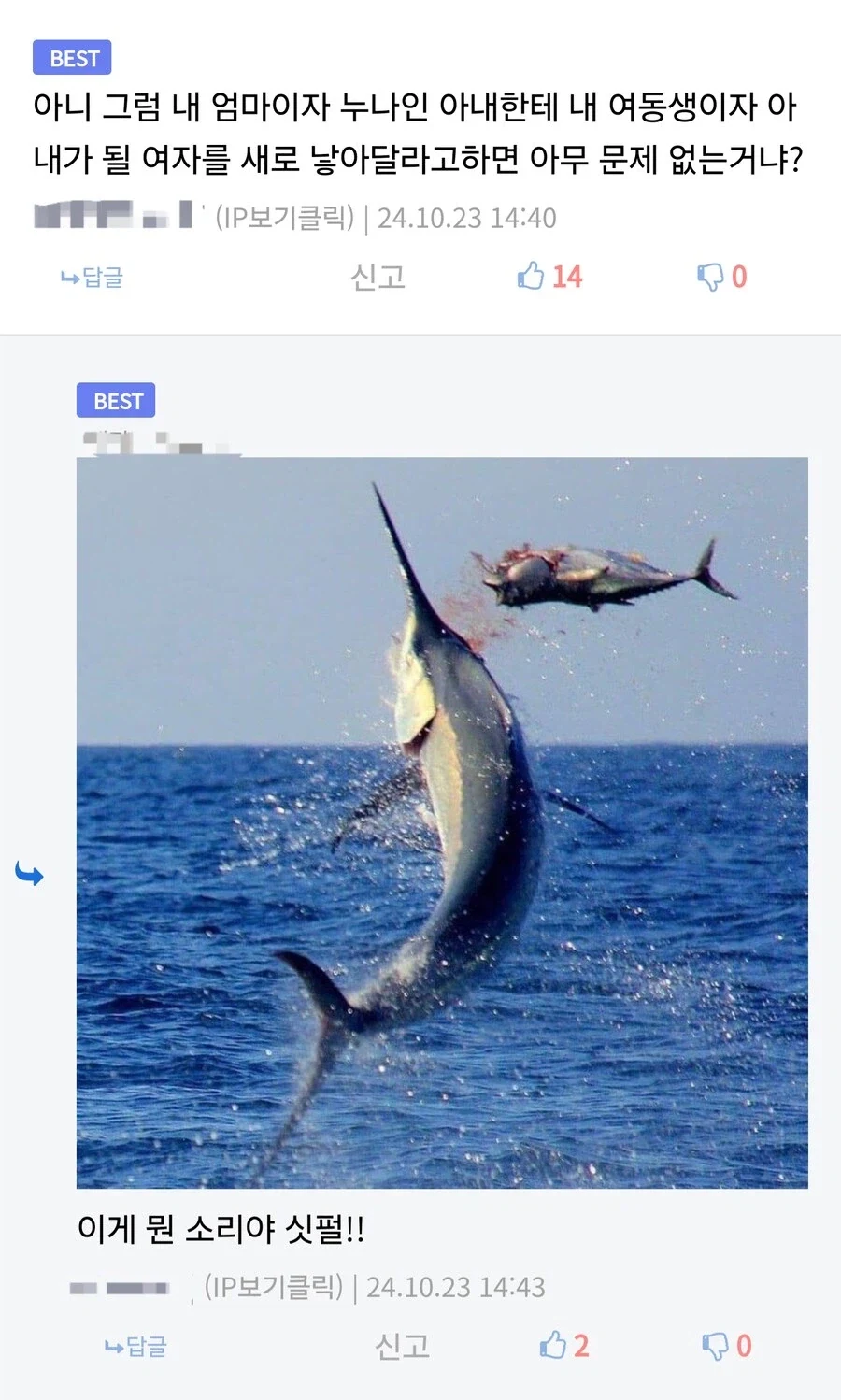 한국어 이해능력 평가_5.webp