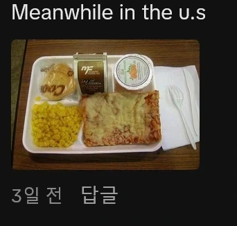 한국 급식 영상에 댓글다는 미국 급식애들_4.webp