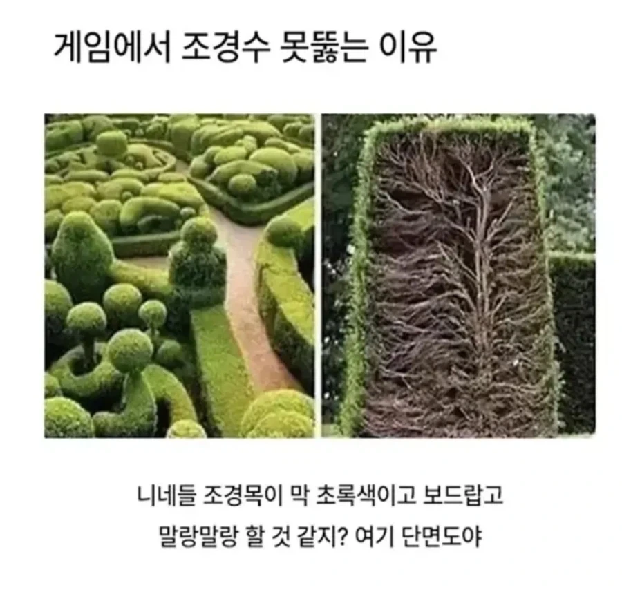 게임에서 조경수 못뚫는 이유_1.webp