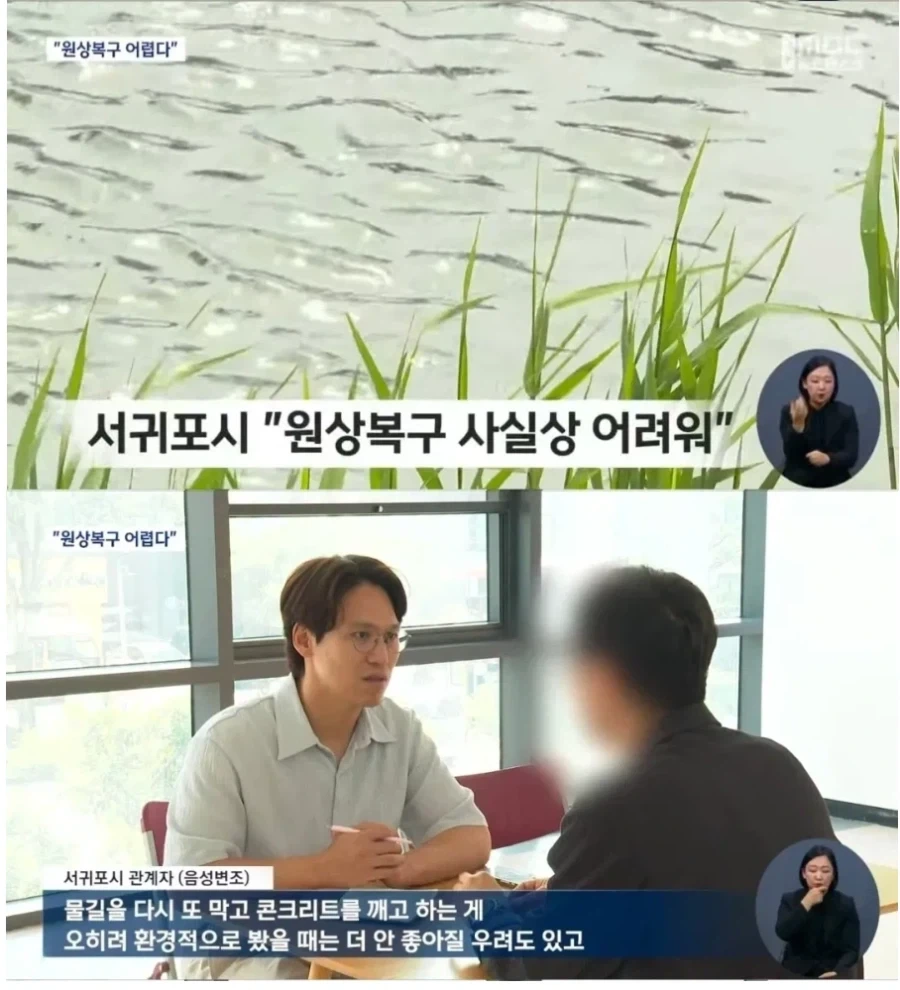 제주도 하천 공구리보니 드는 기시감_1.webp
