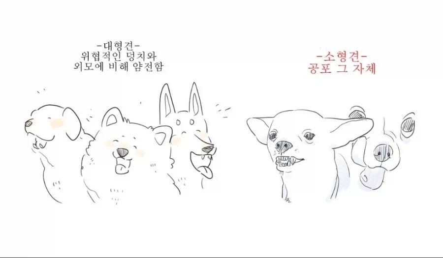 핵연료보다 사용후핵연료가 방사능이 강한 이유_5.webp