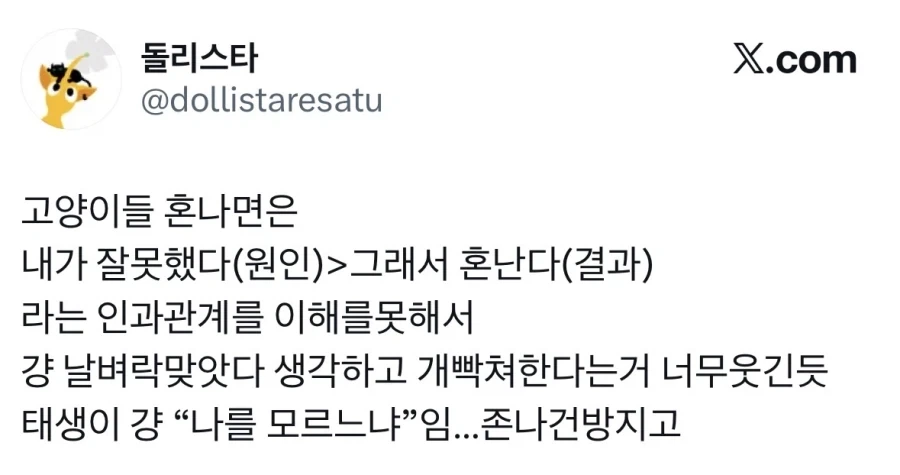 고양이들 혼날 때 심리.jpg_1.webp