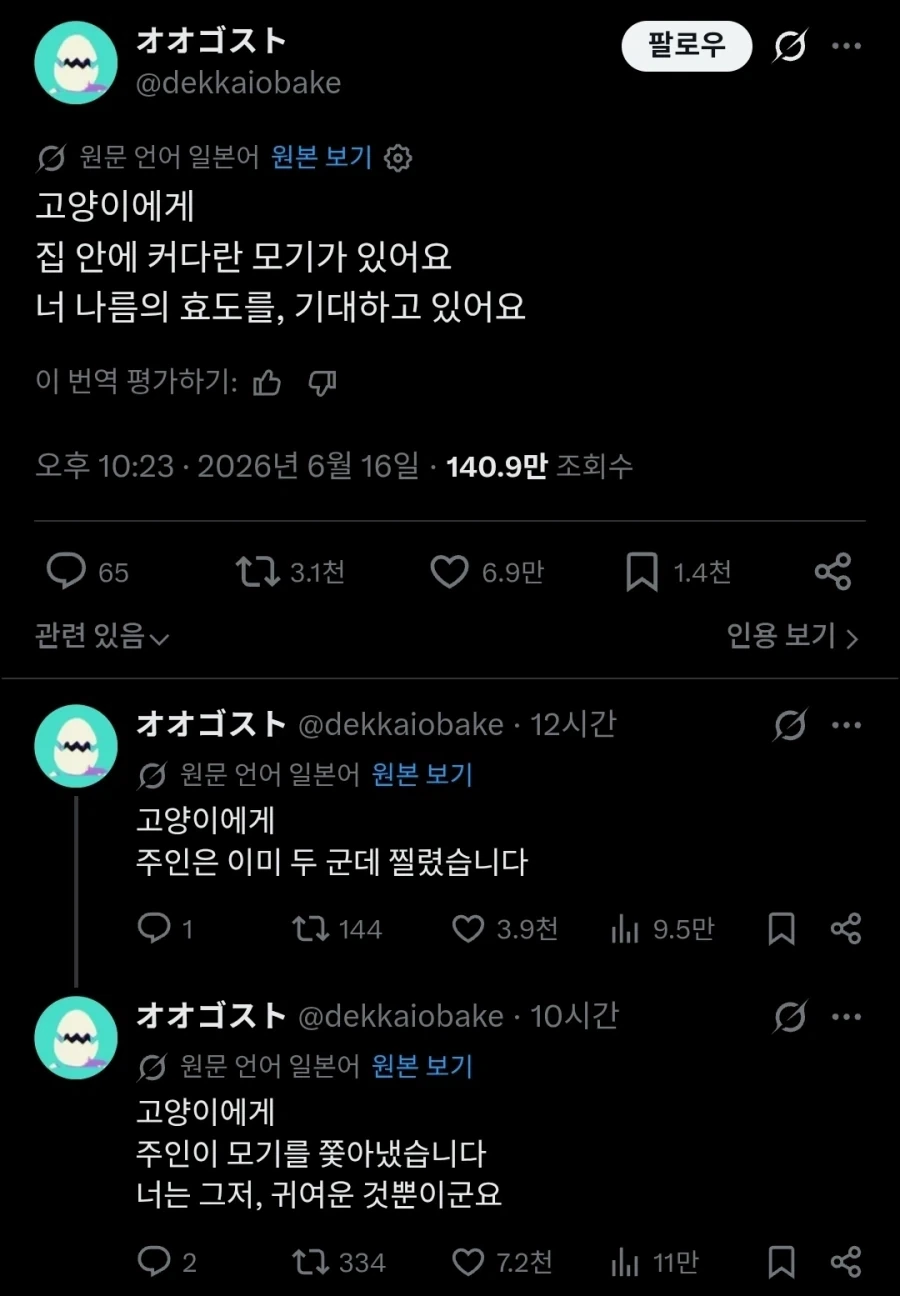 고양이에게 전하는 주인의 메세지.twit_1.webp
