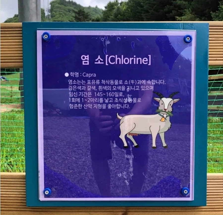 수돗물을 아껴야 하는 충격적인 이유_2.webp