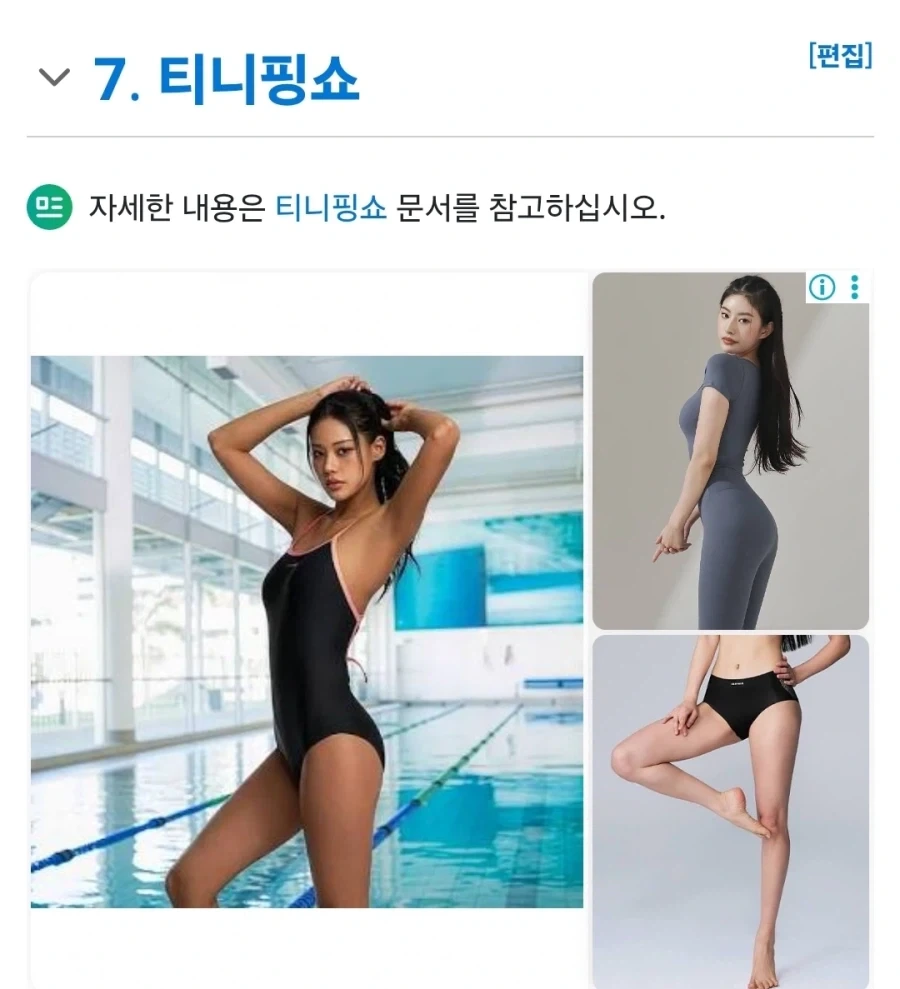 티니핑쇼.namu_1.webp