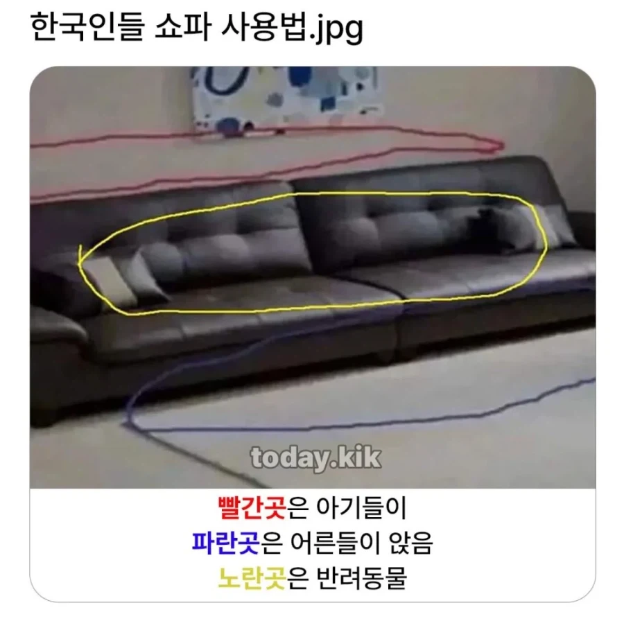 한국인들의 소파 사용법_1.webp
