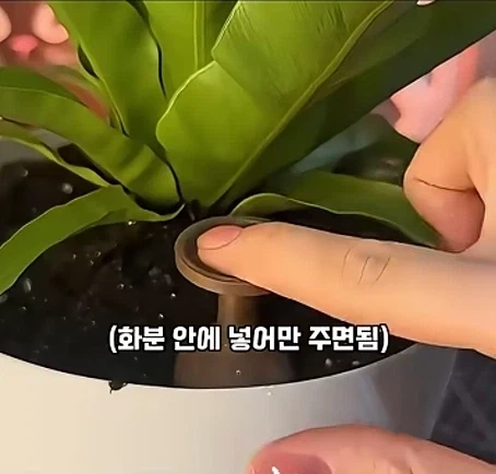 화분에 수분을 자동으로 공급해주는 아이템_3.webp