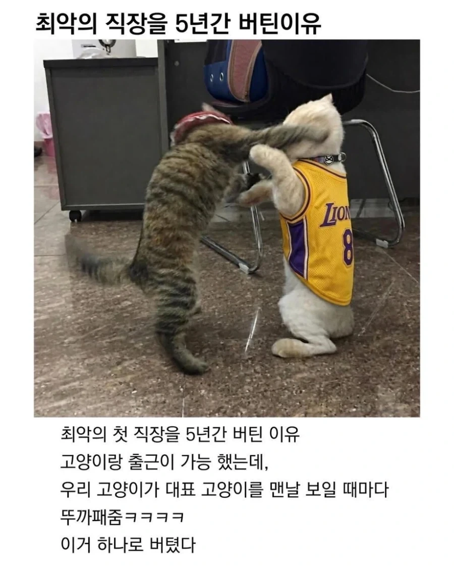 최악의 직장을 5년간 버틴 이유_1.webp