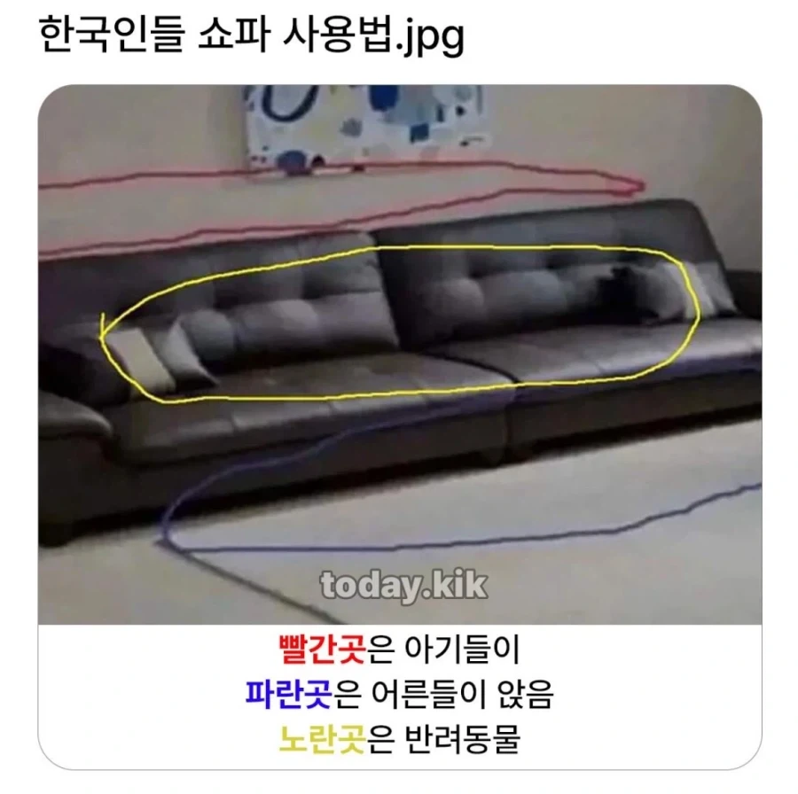 한국인들의 쇼파 사용법_1.webp