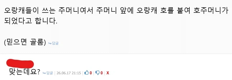 호주머니 관련 역사 글 썻다가 웃긴 경험 함 ㅋㅋㅋ_1.webp