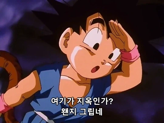 드래곤볼)애니 고유 요소를 무조건 무시하는게 싫다_9.webp