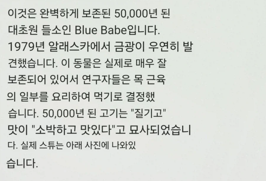 격투만화 바키에 나오는 티라노사우르스 스테이크.JPG_5.webp