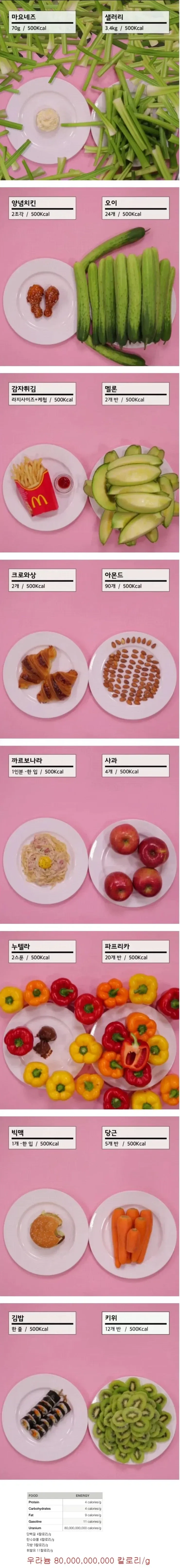 음식마다 500칼로리 양 ㄷㄷ_1.webp
