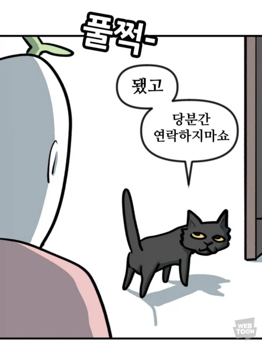 길고양이한태 버림 받음_1.webp