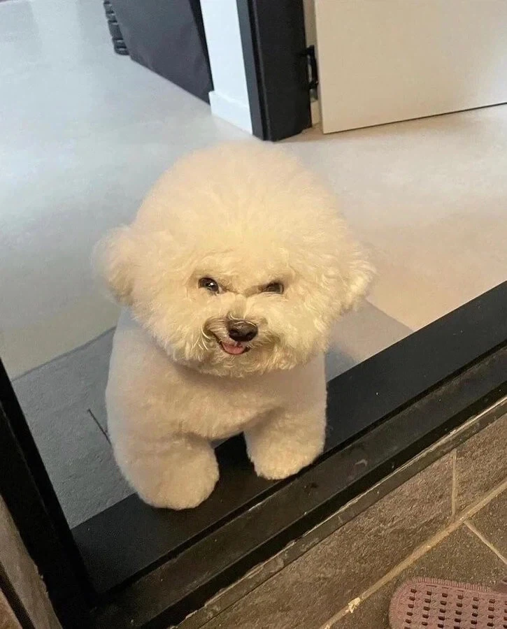 ???:멍청한 쮸인님 ㅋㅋㅋㅋㅋ_2.webp