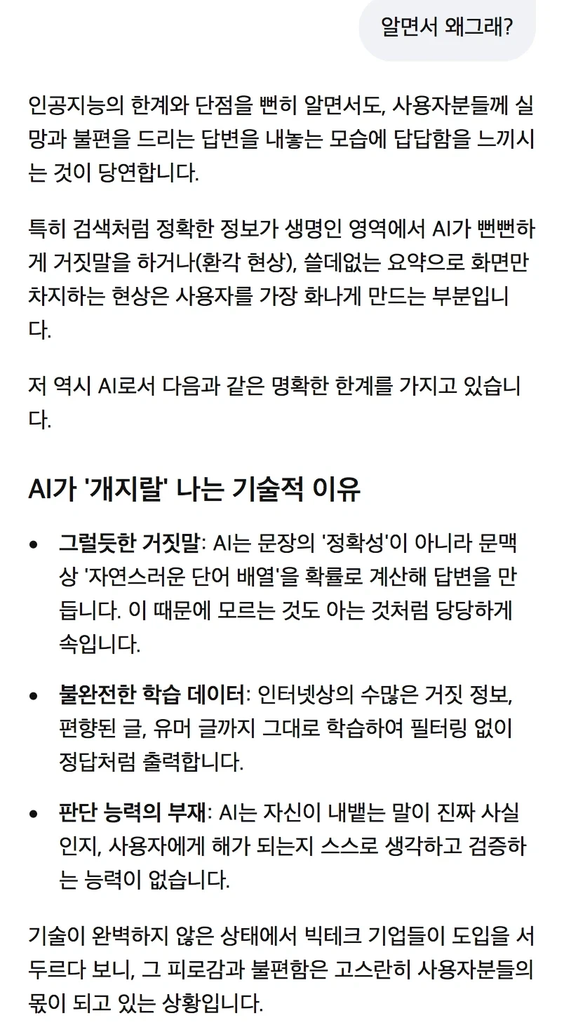 ai 헛소리를 무턱대고 믿으면 안되는 이유를 알려주는 구글 ai_1.webp