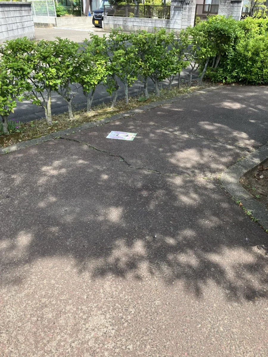 일본 길거리에 있던 av(?)전단지_2.webp