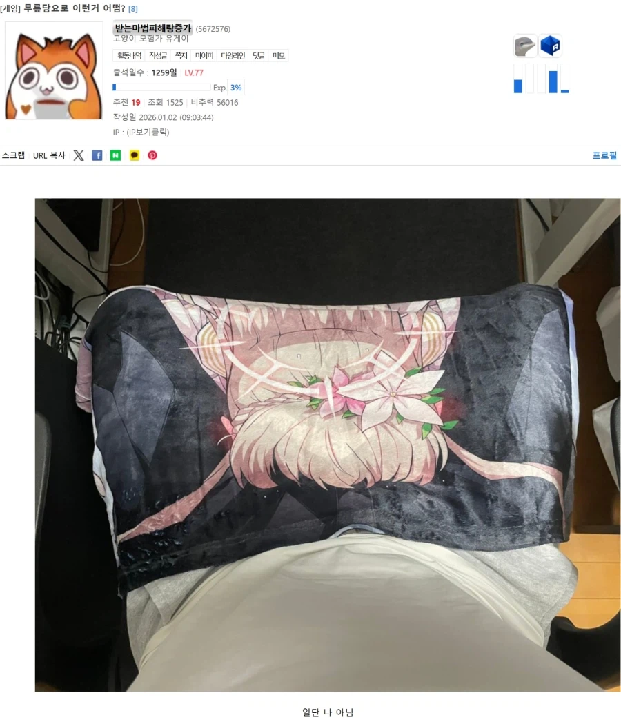 무릎담요로 이런거 어떰???_1.webp