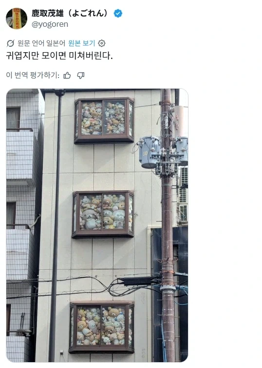 리락쿠마 빌딩.jpg_3.webp