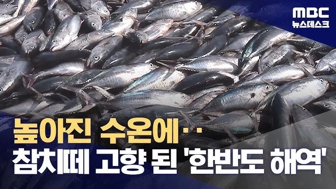 온난화로 인해 우리 밥상에 한걸음 다가온것_1.webp