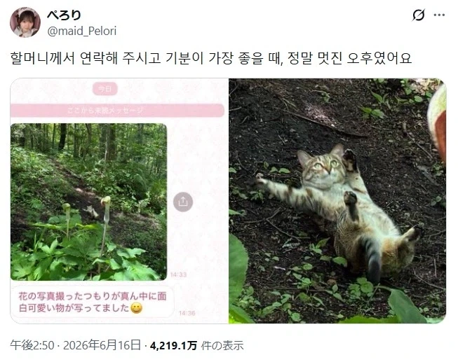 엄청난걸 찍어버린 일본 할머니_1.webp
