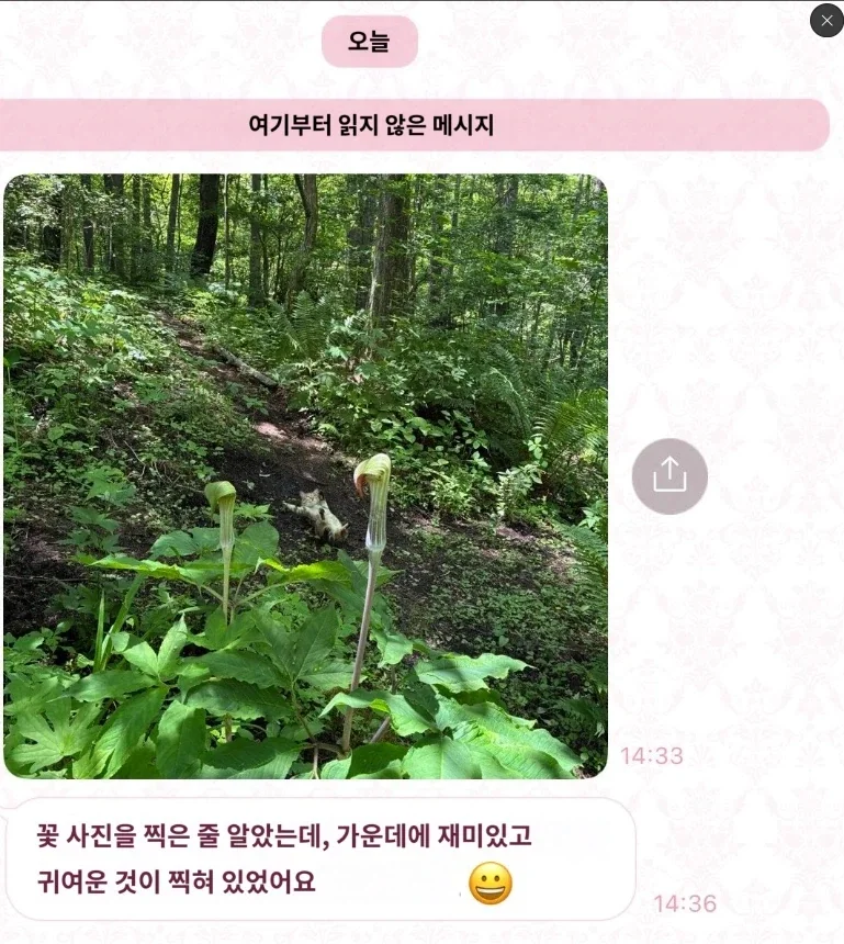 엄청난걸 찍어버린 일본 할머니_2.webp