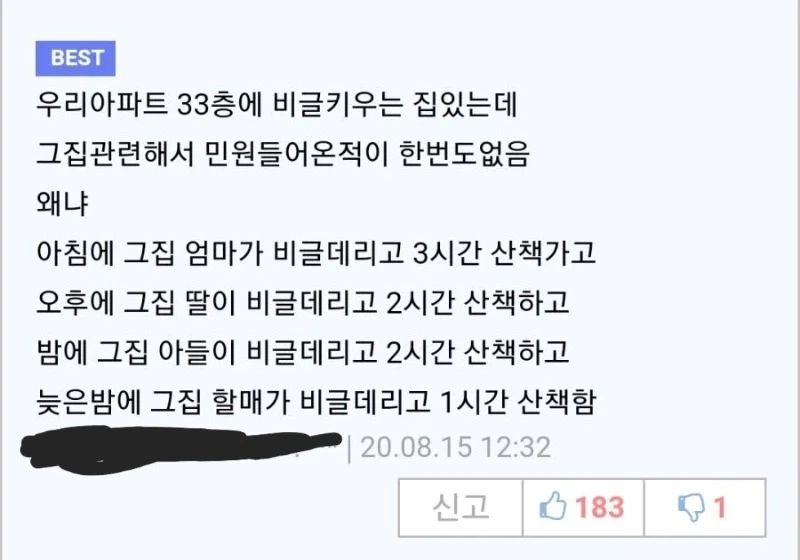 아파트에서 비글 조용히 키우는 방법_1.webp