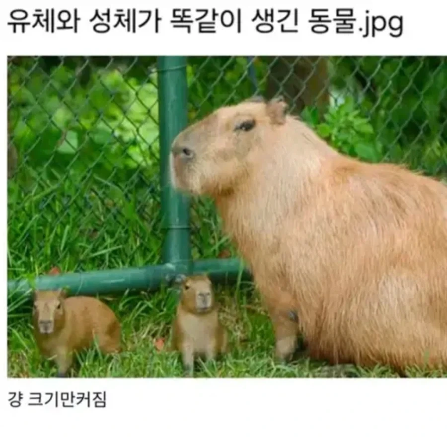 유형성숙.jpg_1.webp