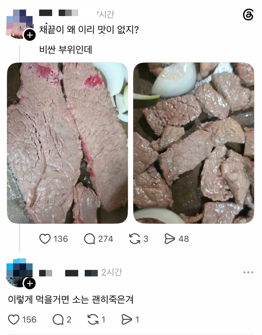 헛된 죽음.jpg_1.webp