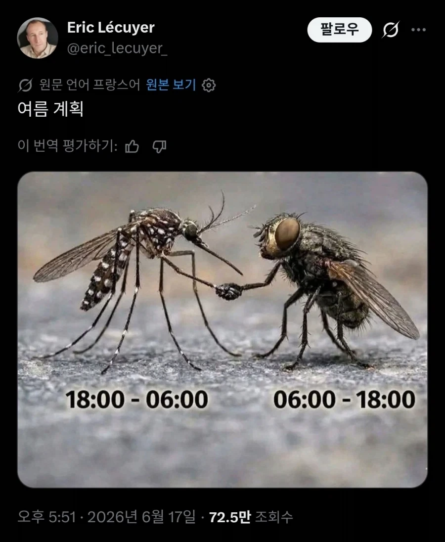 여름 계획.jpg_1.webp