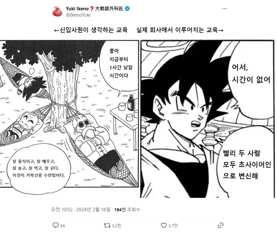 신입사원이 생각하는 교육 vs 실제 회사의 교육_1.webp