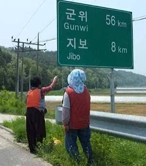 보지_1.webp