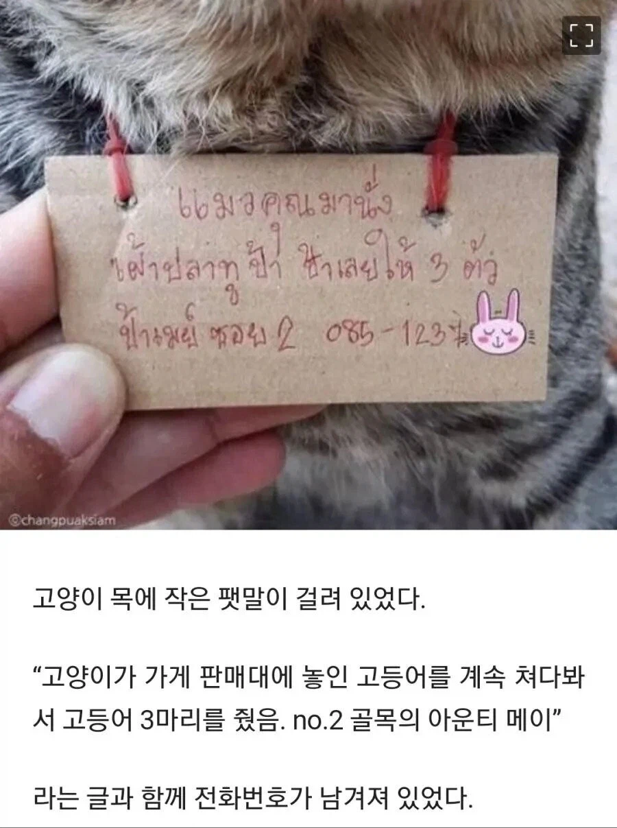 가출했다가 빚지고 돌아온 고양이_1.webp