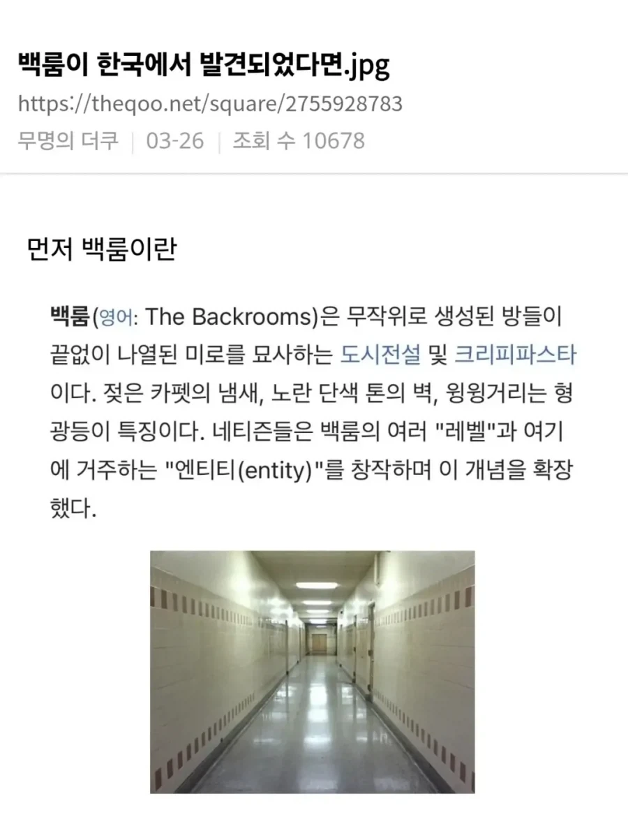 백룸이 한국에서 발견되었다면.jpg_1.webp