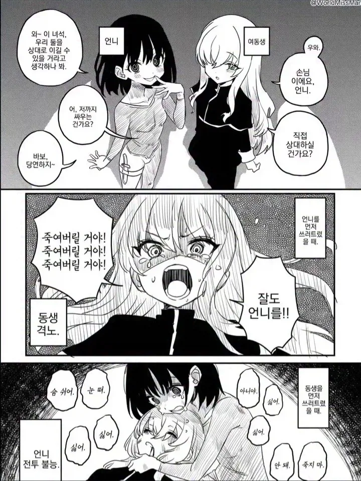 은근히 맛돌이인 자매 보스 전투플로우.manga_1.webp