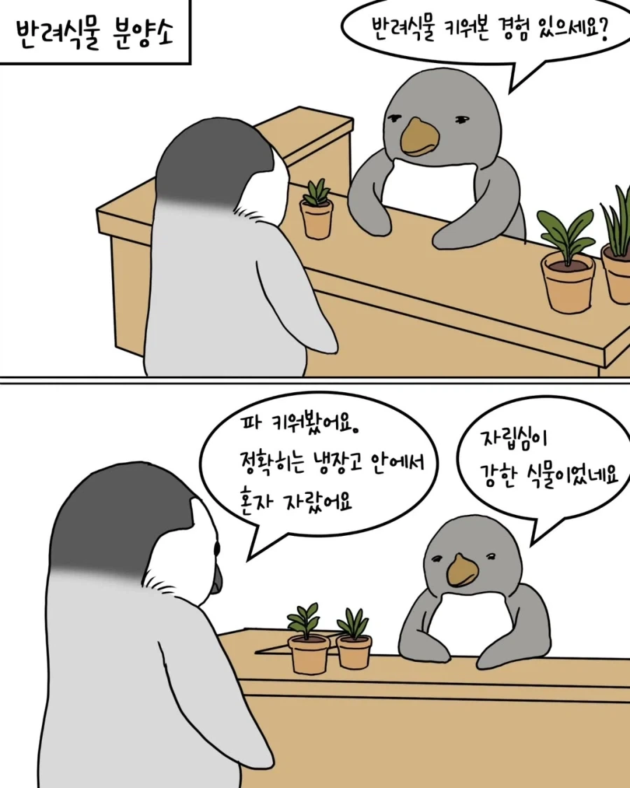 펭귄들이 반려식물 분양받는 만화.manwha_1.webp