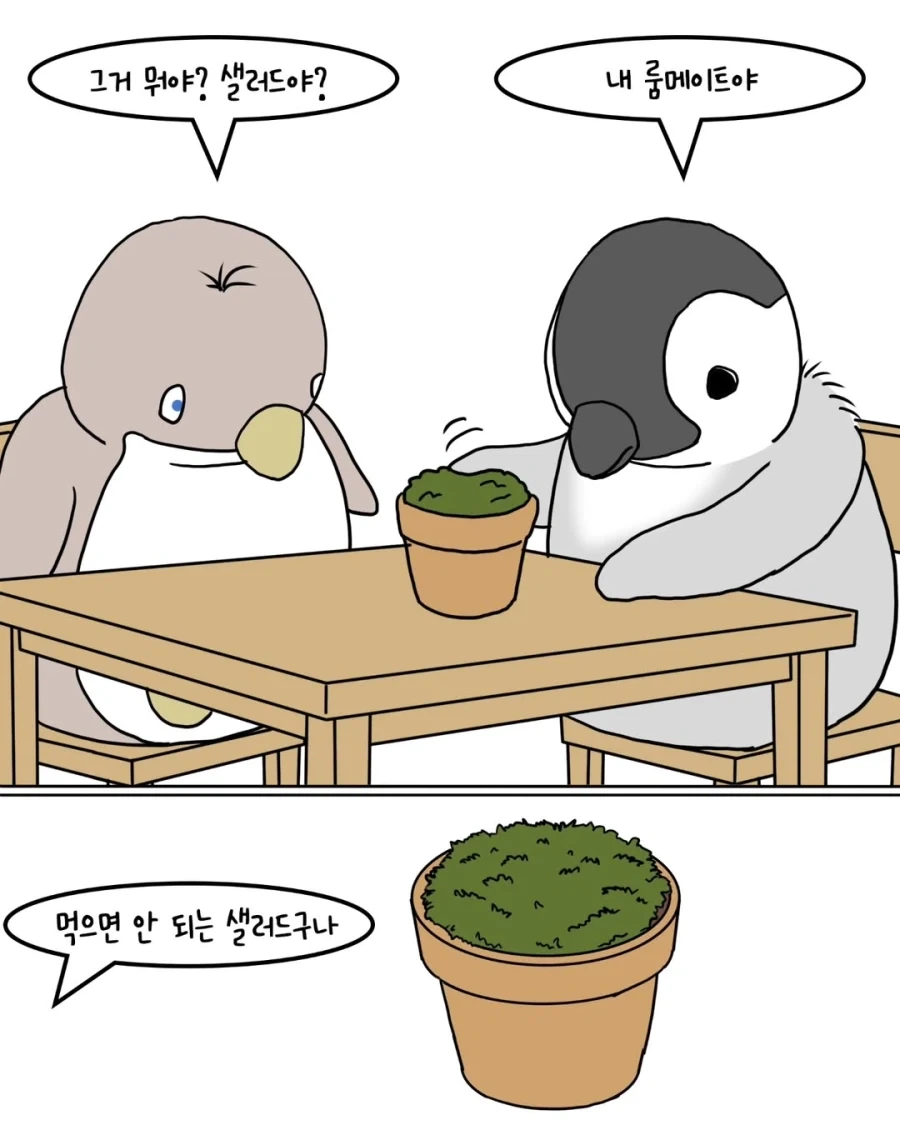 펭귄들이 반려식물 분양받는 만화.manwha_5.webp