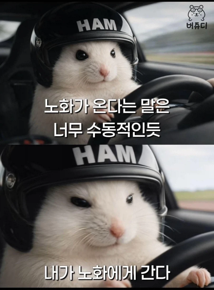 현대인의 삶_1.webp