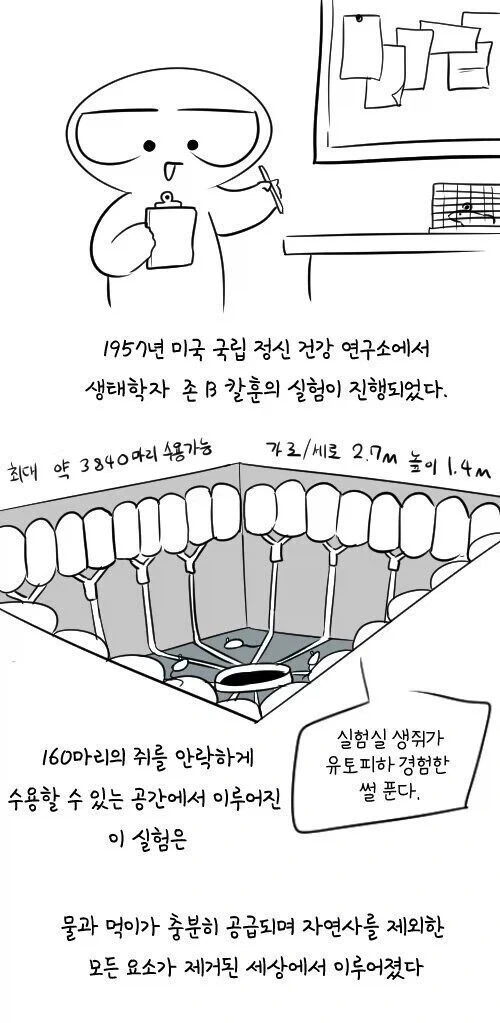 쥐로 알아보는 사회는 어디로 가고 있는가_1.webp