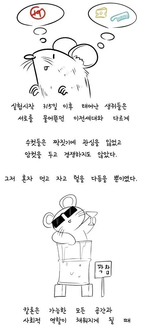 쥐로 알아보는 사회는 어디로 가고 있는가_5.webp
