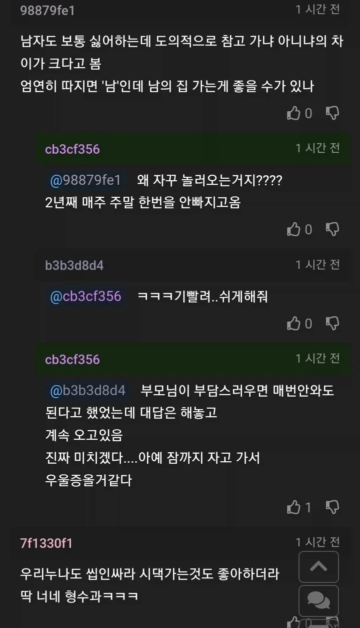 형수가 주말마다 본가에 찾아온다.JPG_2.webp