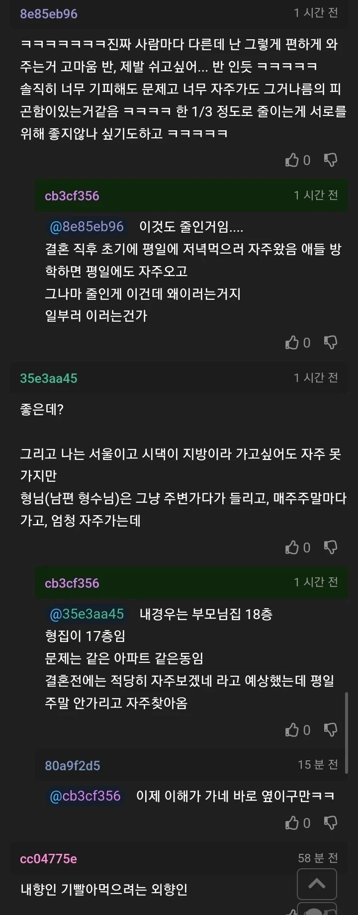 형수가 주말마다 본가에 찾아온다.JPG_4.webp