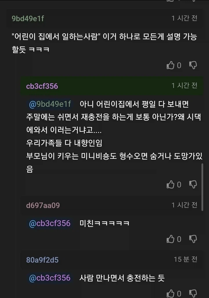 형수가 주말마다 본가에 찾아온다.JPG_5.webp