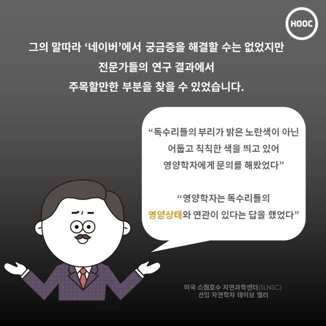 독수리의 부리는 왜 노란색일까.jpg_3.jpg