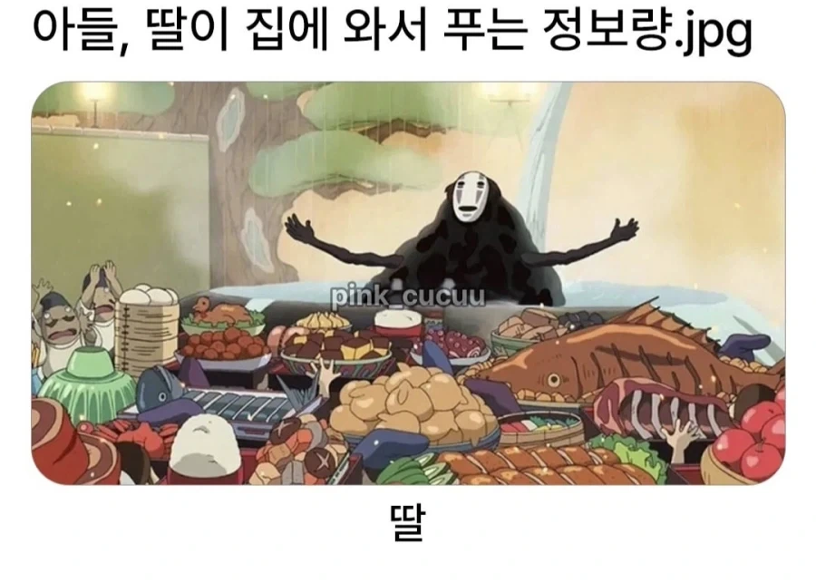아들 딸이 집에 와서 푸는 정보량.jpg_1.webp