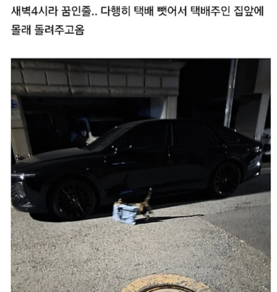 로CAT배송.JPG_1.webp