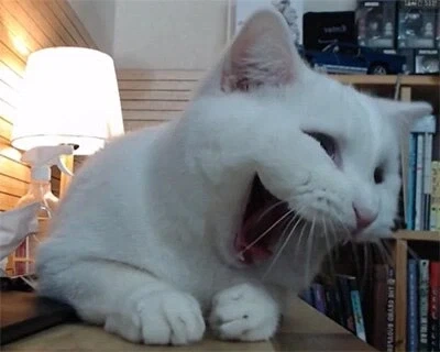 지금 일하는 사람 고생하시길_1.webp
