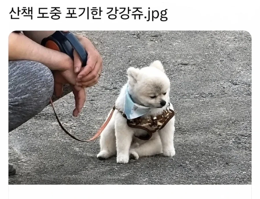 쭈인아 지친다_1.webp