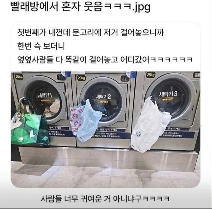 빨래방 플래쉬몹_1.webp