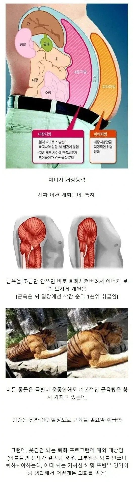 인간이 가진 S급 능력.jpg_1.webp